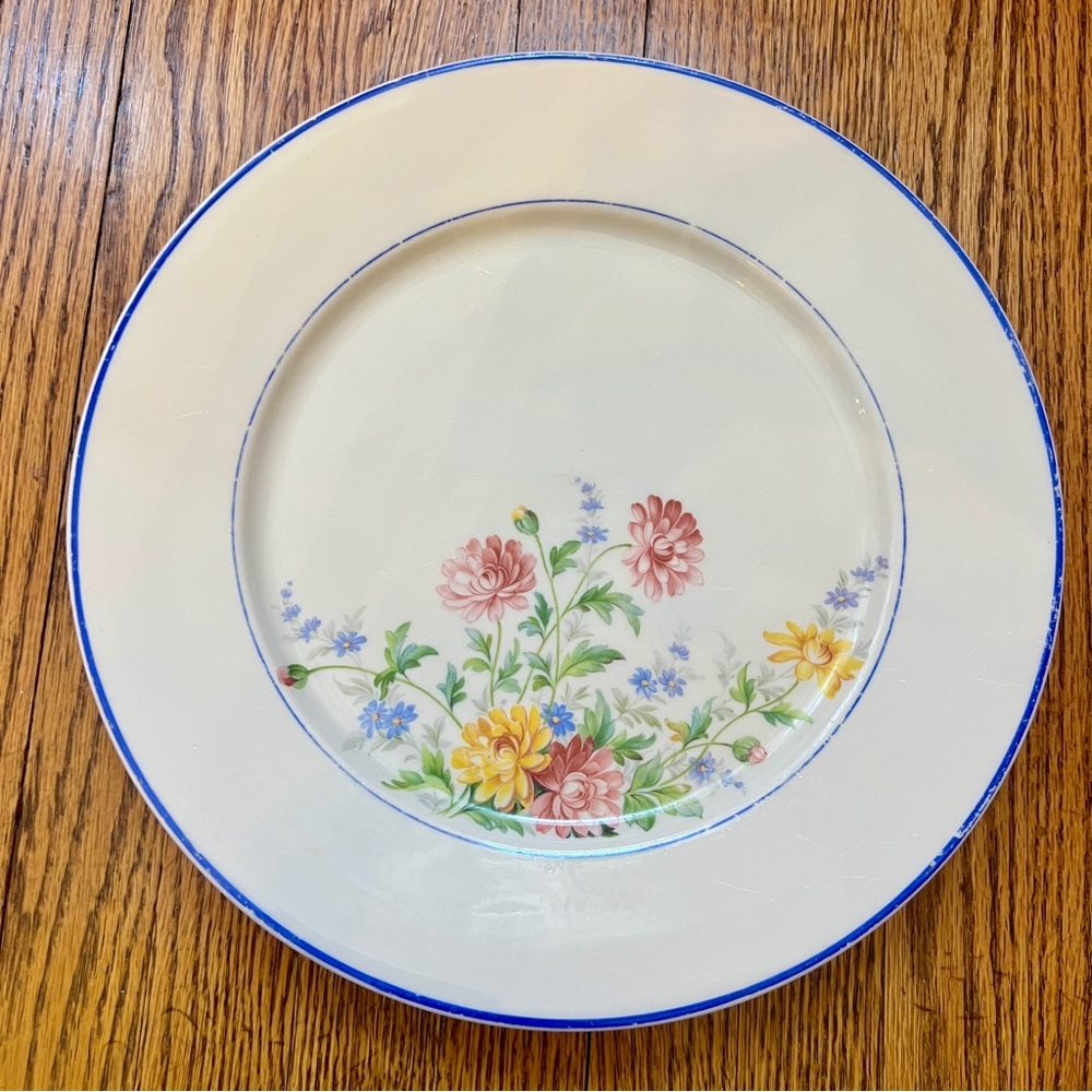 Vintage Warwick Dinner Plate 10” RARE Spring Floral Design w blue rim